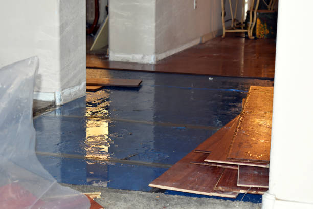 Professional Burst Pipe Cleanup technician working in Harper, TX